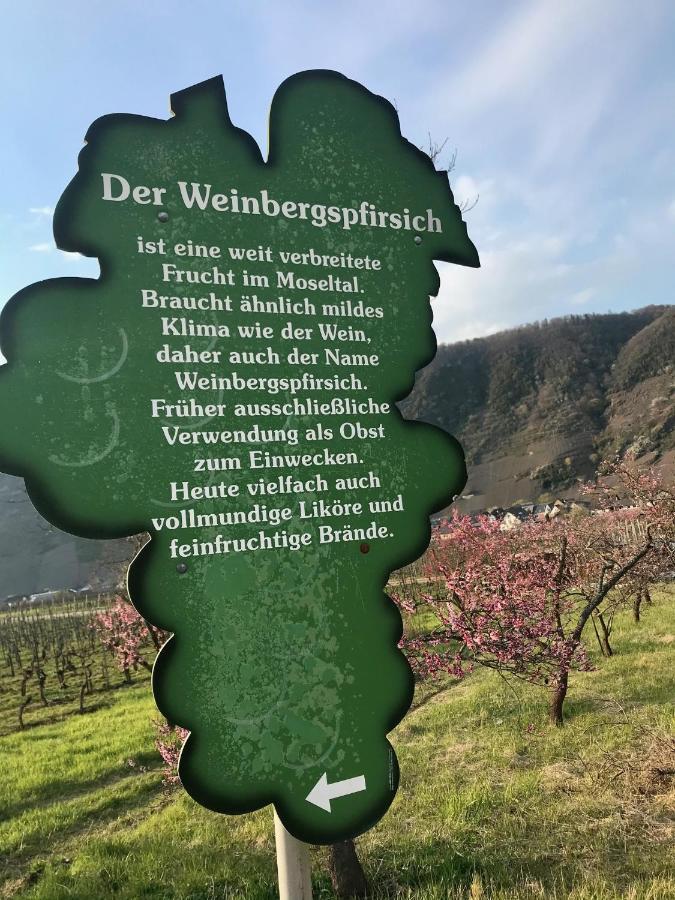 Residenz Moselzauber - Ferienwohnungen Mit Pool Landschaft Ernst Kültér fotó